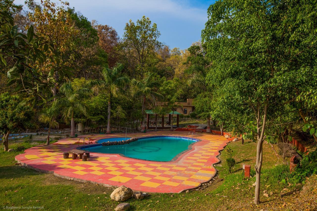 Bagheera Jungle Retreat Resort Ramnagar  Dış mekan fotoğraf
